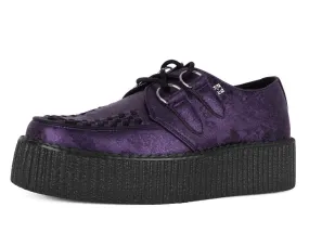 Purple Metallic Blossom Viva Mondo Creeper